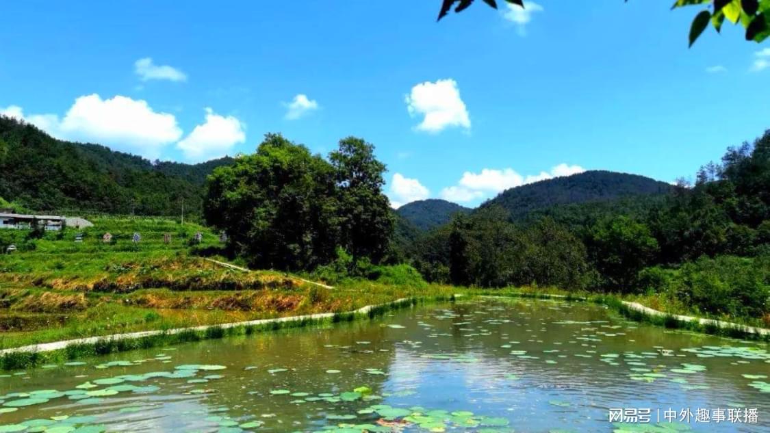 卡盟自助下单24小时平台