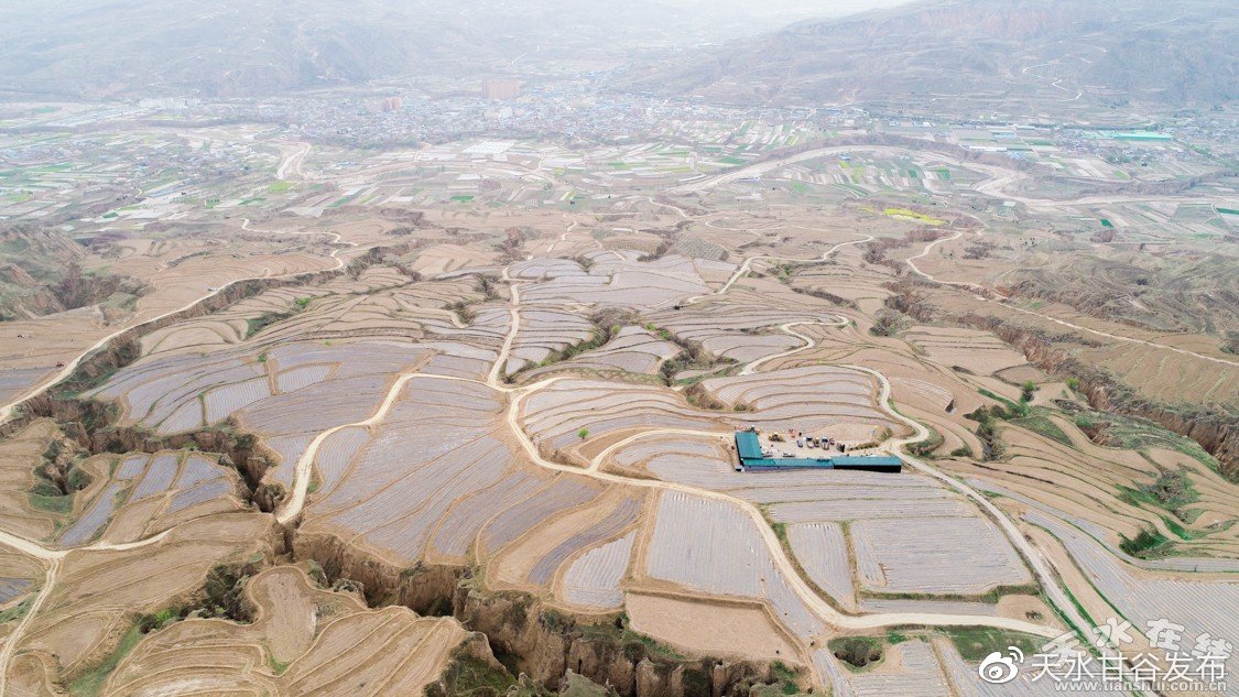快手赞自助下单平台网站免费的